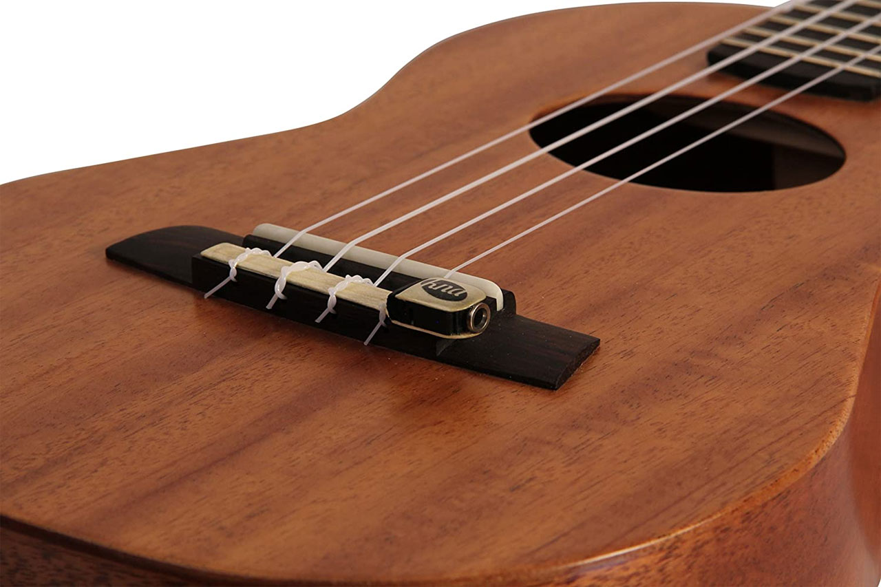 Що таке звукознімач на укулеле? Типи та особливості