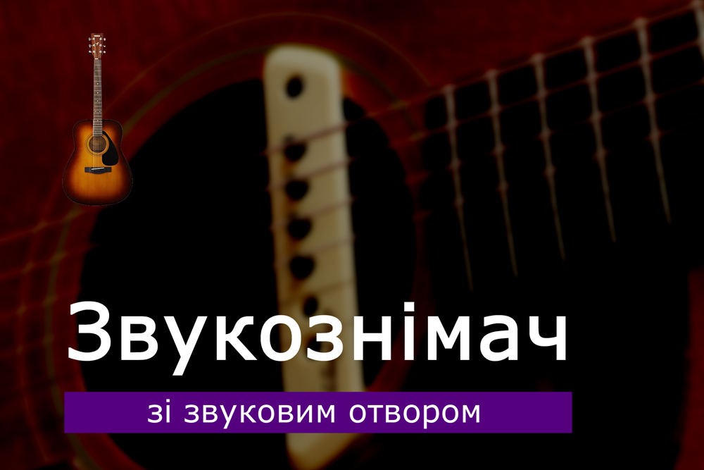 Звукознімач зі звуковим отвором на акустичну гітару