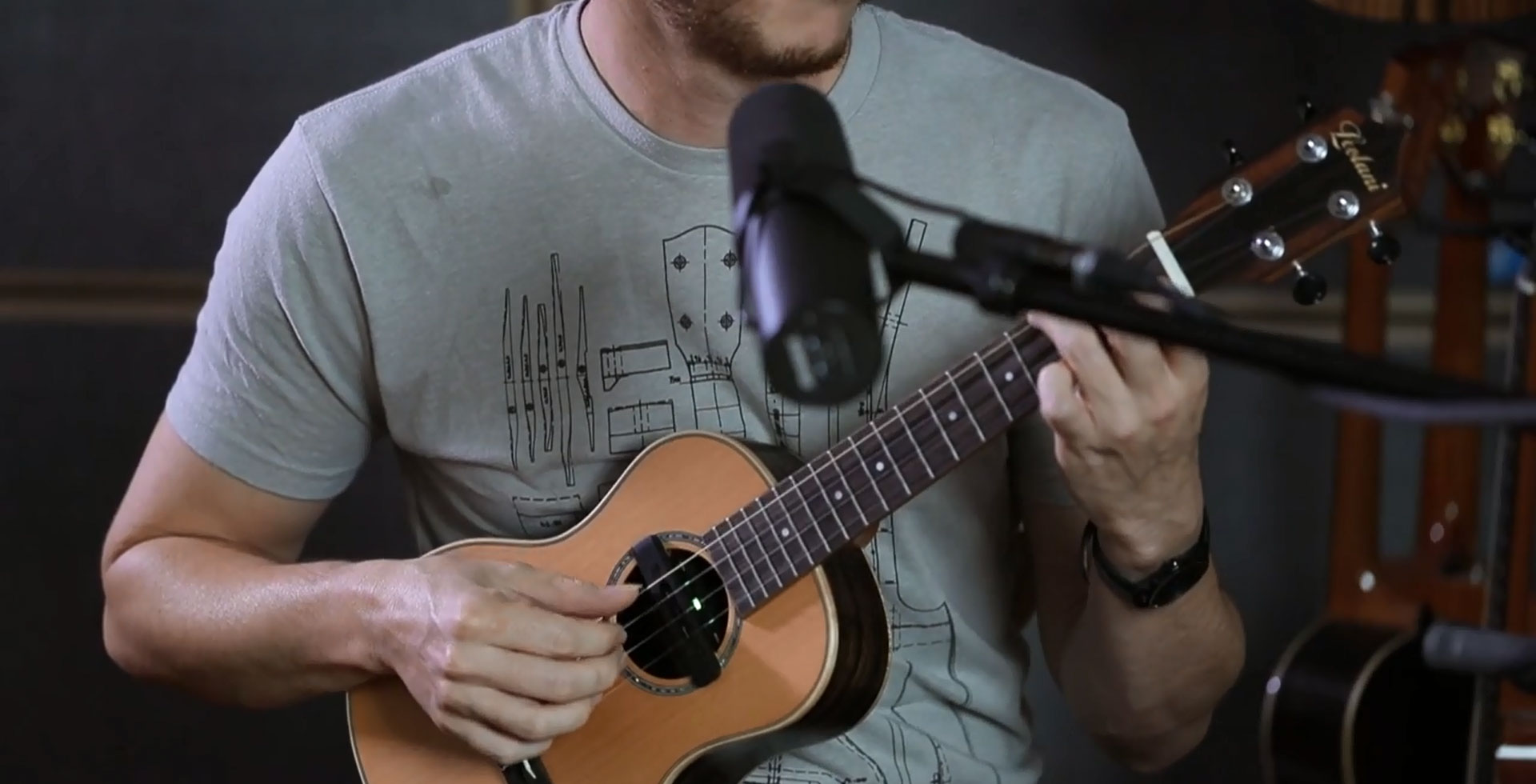 Встречайте новинку! Звукосниматель для укулеле x2 double U0