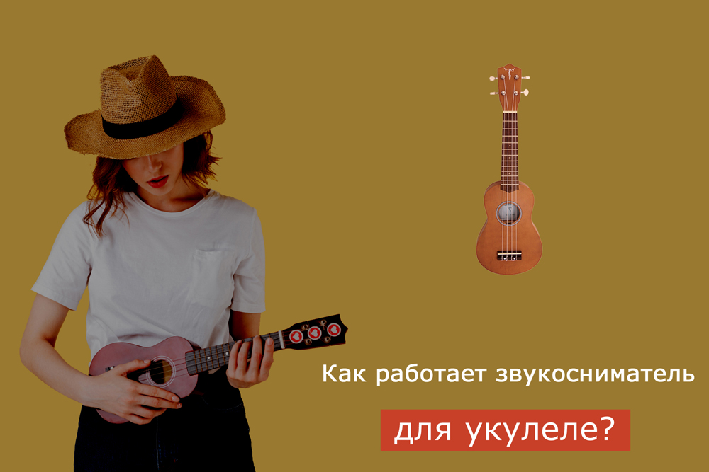 Как работает звукосниматель для укулеле? Принцип действия